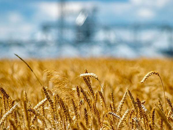 Wastewater-treatment-for-livestock-farming